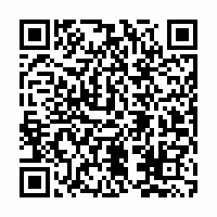 QR Code für Schumann-Fest Zwickau: Romantisches Lichterfest